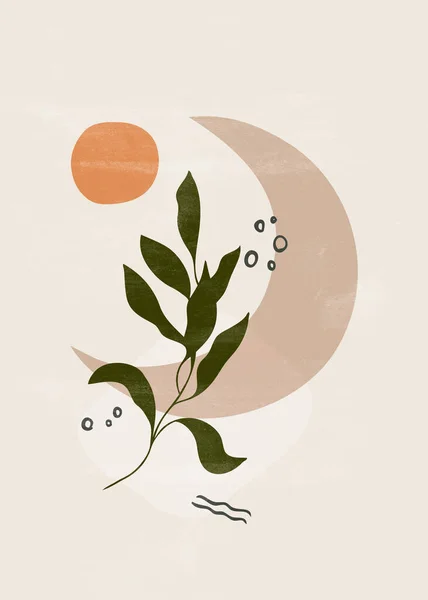 Botanical Vintage Print Boho Sun Moon Minimalist Wall Art Abstract — Fotografia de Stock