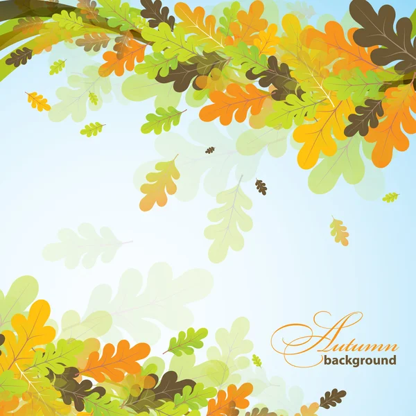 Oak autumn background, vector — Stock Vector