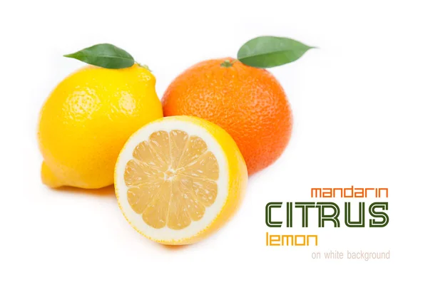 Agrumes : mandarine, citron sur fond blanc — Photo