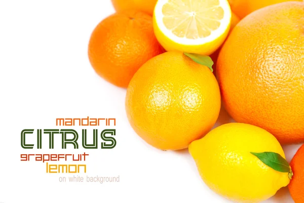 葡萄柚、 橘子、 柠檬、 橙 — 图库照片