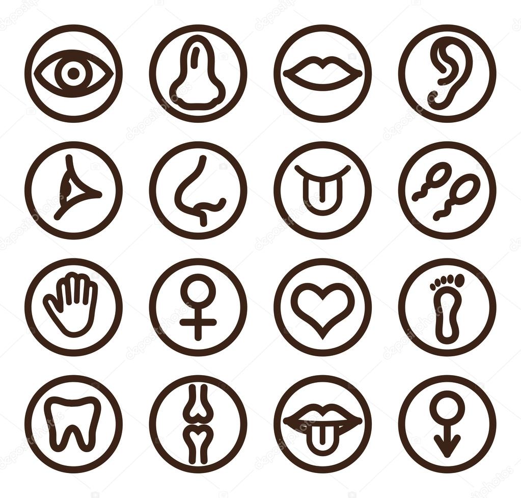 Medical line icon set for web and mobile