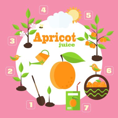 Vector illustration of a garden in the style of the flat