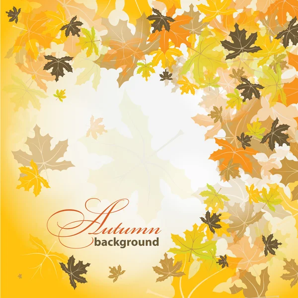 Maple autumn background, vector — Stock Vector