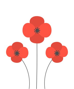 Kırmızı haşhaş illüstrasyon