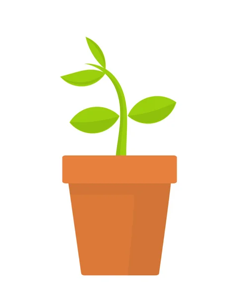 Plant in pot — Stockvector