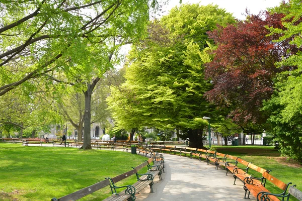 Park in Vienna — Stock Photo, Image