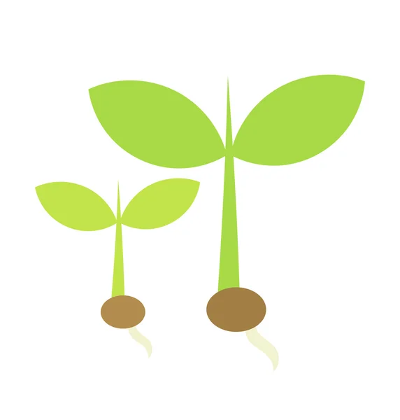 İki küçük bitkiler — Stok Vektör