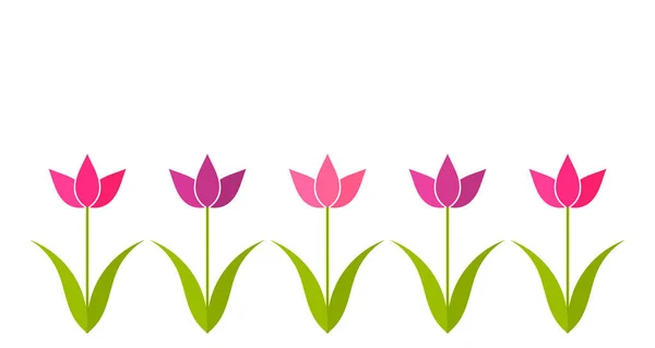 Pink Purple Tulip Flowers Border Background Vector Illustration — Stock Vector