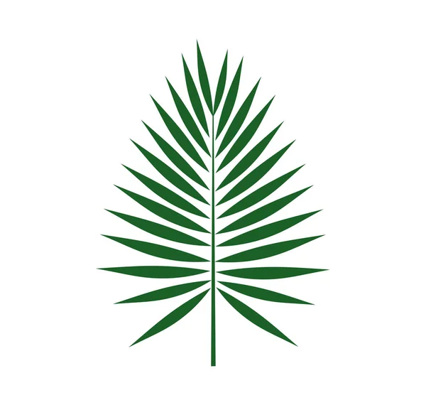 Ikone Aus Grünem Palmblatt Vektorillustration — Stockvektor