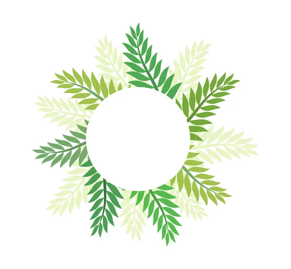 Feuilles Palmier Vert Carte Frontière Arrière Plan Conception Étiquettes Feuilles — Image vectorielle