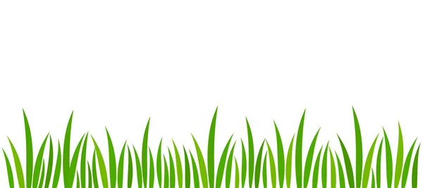 Green Grass Background Spring Grass Border Vector Illustration — Stock Vector