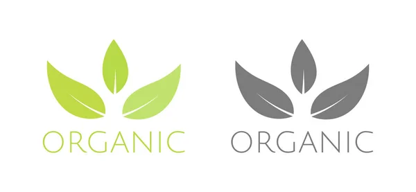 Green Eco Organic Leaves Symbols Organic Icons Vector Illustration — Stock Vector