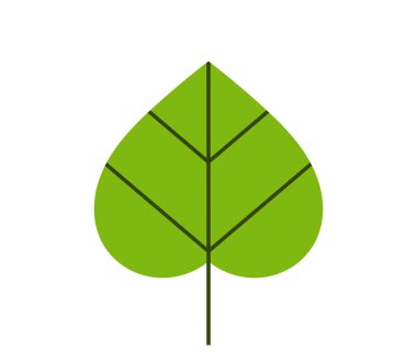 Yeşil yaprak simgesi. Tilia yaprağı düz tasarım. Vektör illüstrasyonu.