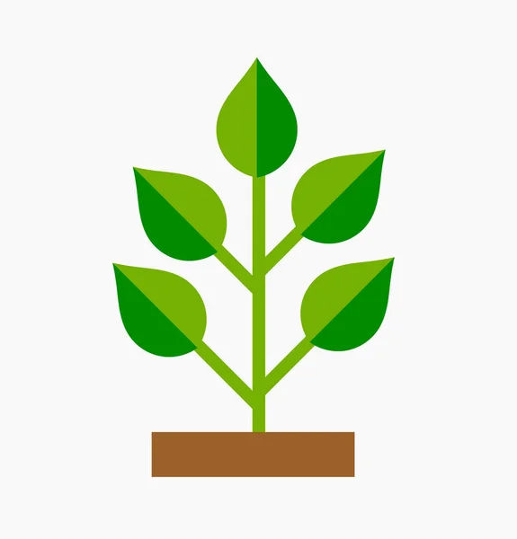 Planta Verde Símbolo Desgin Plano Icono Planta Ilustración Vectorial — Vector de stock