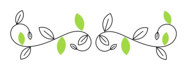 Branş klasik dekor sınır ayırıcısını bırakıyor. Vektör illüstrasyonu.