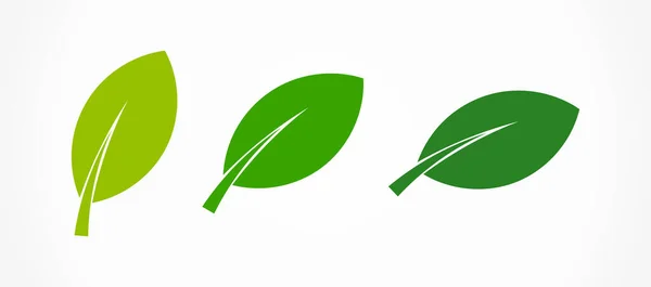 Three Green Leaves Icons Vector Illustration — Stock Vector