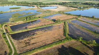 Spytkowice Polonya 'dan balıklar İHA görüntüsü alıyor. Vahşi kuşların yaşam alanı.