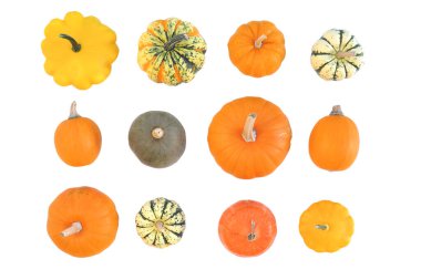 Kabak ve kabak türleri koleksiyonu beyaz arkaplanda izole edildi.