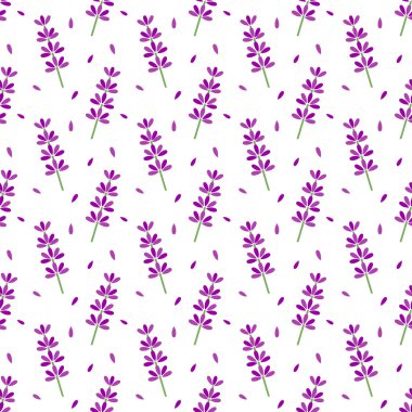 Lavanta çiçekleri kusursuz desen. Vektör illüstrasyonu.
