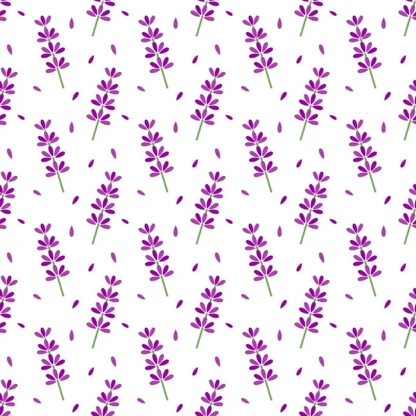 Lavendel Bloemen Naadloos Patroon Vectorillustratie — Stockvector