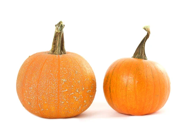 Two pumpkins isolated — Stock Photo, Image