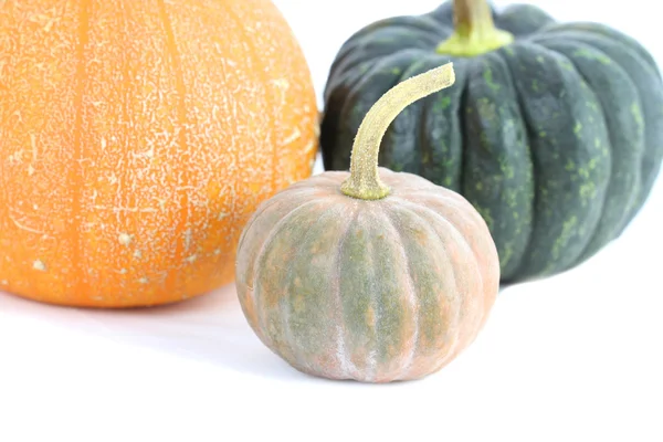 Pumpkins isolated — Stock Photo, Image