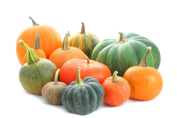 Pumpkins varieties — Stock Photo, Image