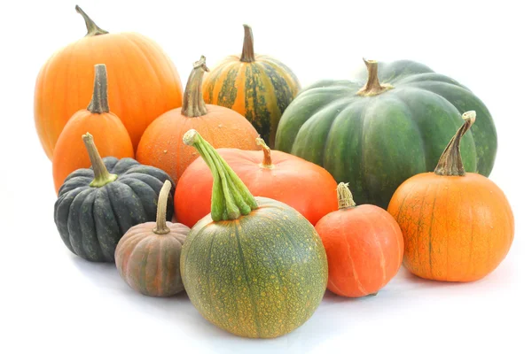 Pumpa och squash samling — Stockfoto