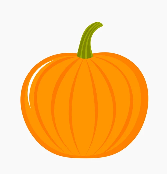Pumpkin illustration — Stock Vector