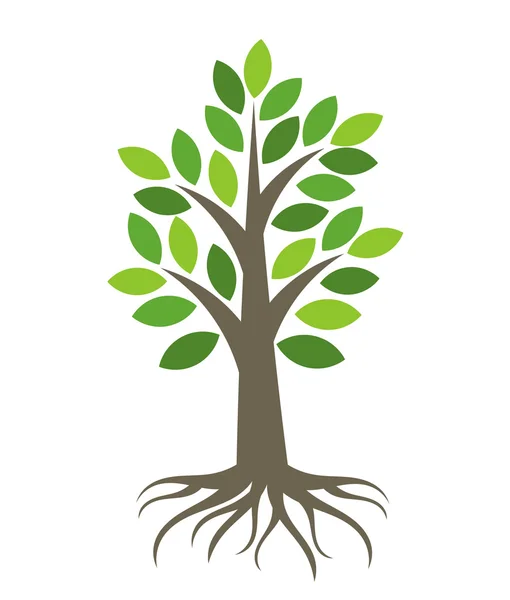 Árbol con raíces — Vector de stock