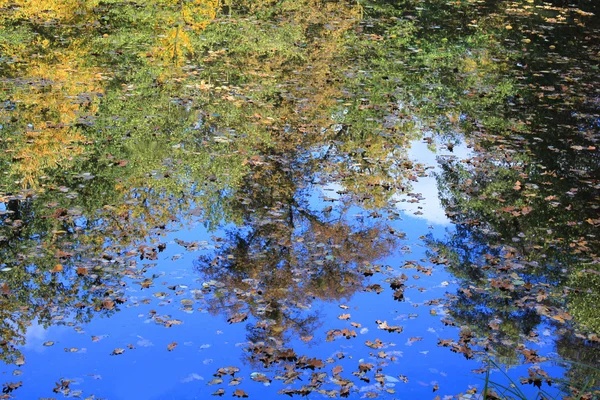 Weerspiegeling van herfst bomen in lake — Stockfoto