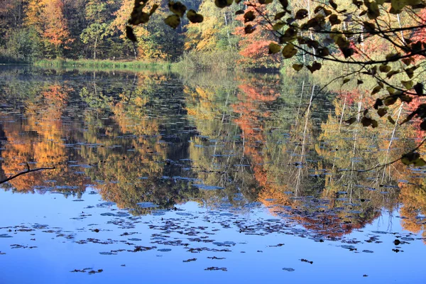 Reflection of autumn trees in lake — Stock Photo, Image