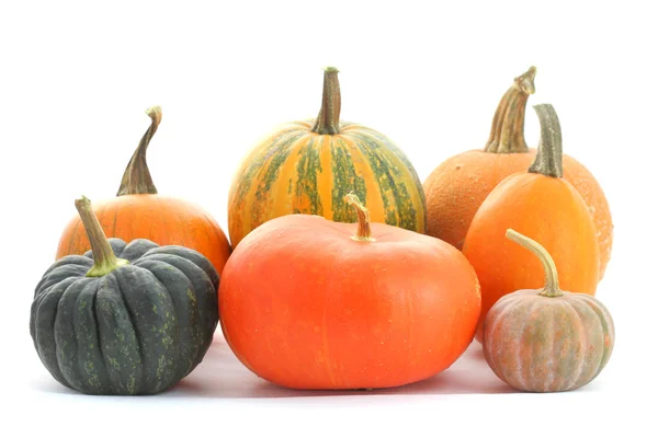 Pumpkins and winter squashes — Stock Photo, Image