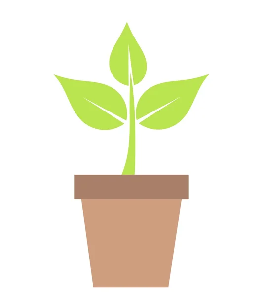 Plante verte en pot — Image vectorielle