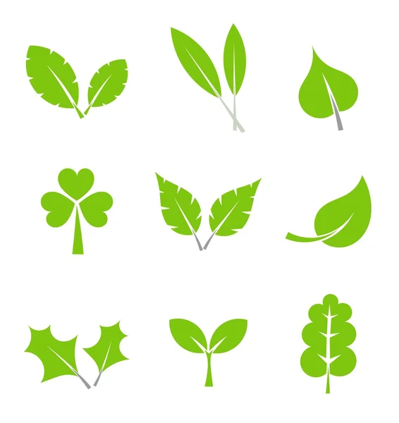 Green Leaves collection — Stock Vector