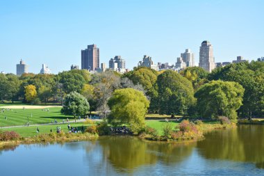 Central Park'ta kaplumbağa gölet