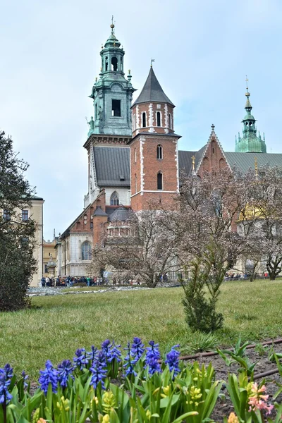 Wawel kasteel in het vroege voorjaar — Stockfoto