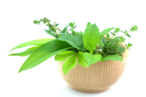 Fresh herbs — Stock Photo, Image