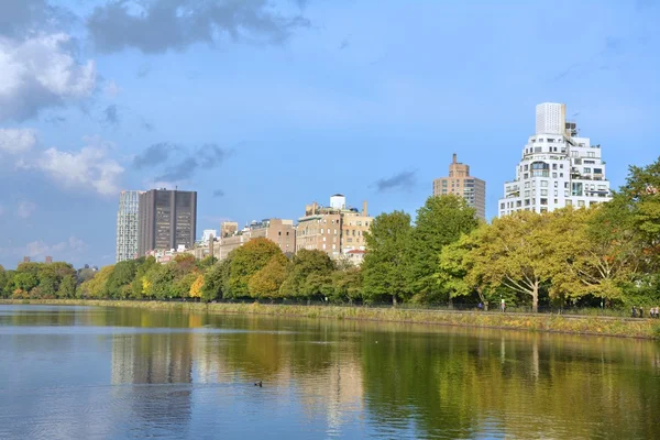 Pond in Central Park — Stock Photo, Image