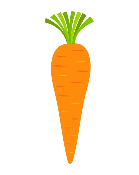 Vettore della carota — Vettoriale Stock