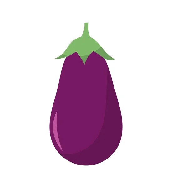 Aubergine fruit — Stockvector