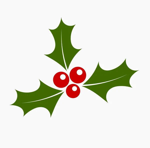 Holly de Noël. Vecteur — Image vectorielle