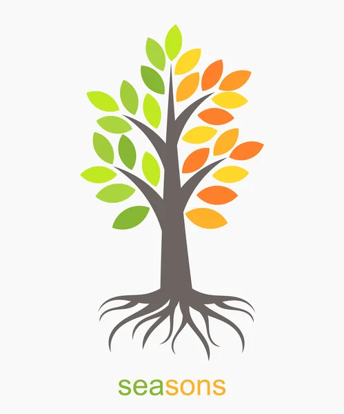 Two seasons tree — Stock Vector
