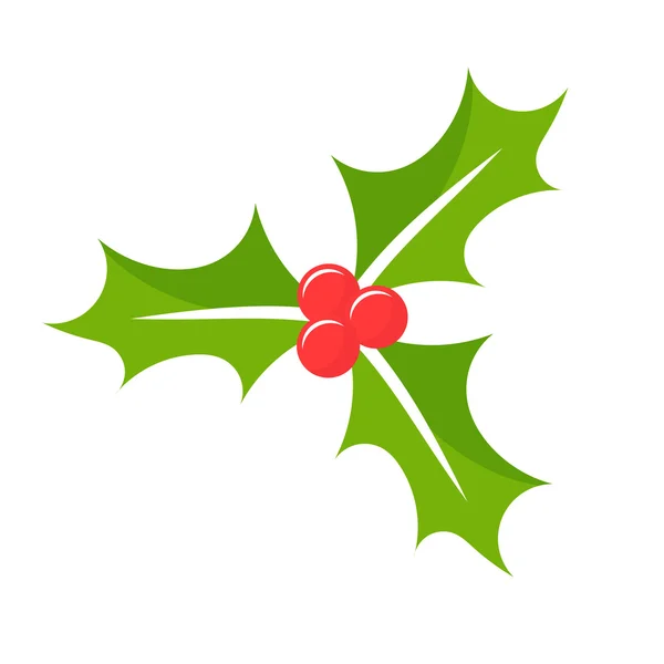Noël houx baie — Image vectorielle