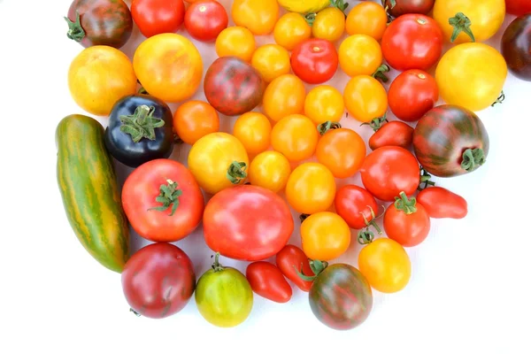 Erbstück bunte Tomaten — Stockfoto