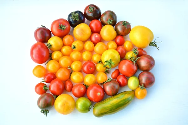 Renkli domatesler