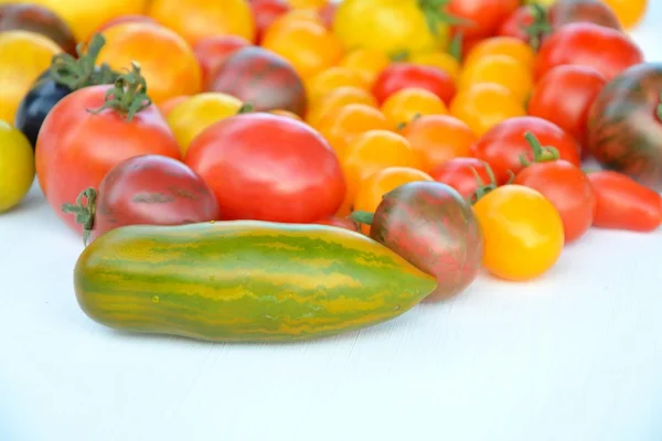 Tomatenmischung Farben — Stockfoto