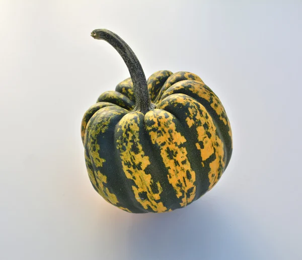 Autumn Sweet dumpling squash — Stock Photo, Image