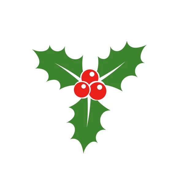 Feuilles de houx de Noël — Image vectorielle