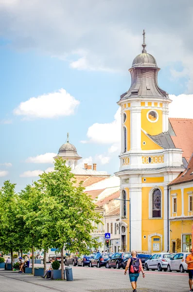 Transfiguration katedralen eller Minorites kyrkan på Eroilor Boulevard i Cluj Napoca — Stockfoto